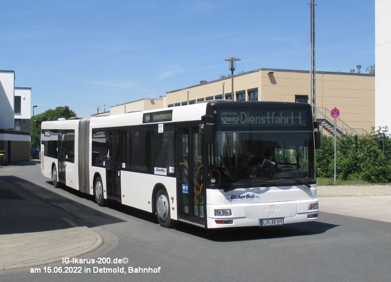 LIP-BB 595